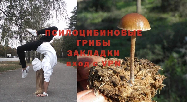 ECSTASY Алексин