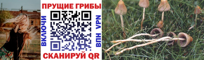 Галлюциногенные грибы мухоморы  blacksprut ссылка  Ленинск-Кузнецкий 