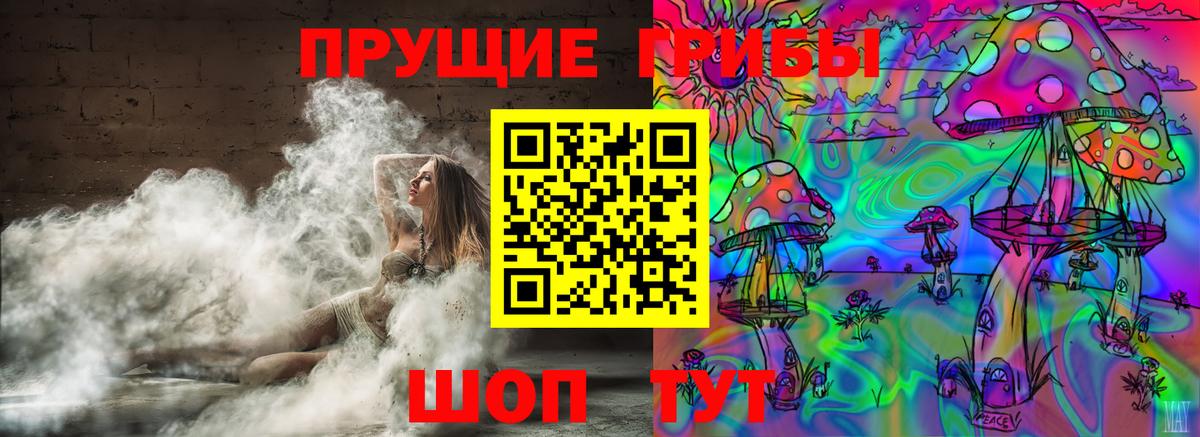 Ленинск-Кузнецкий  Галлюциногенные грибы GOLDEN TEACHER  Вход с VPN  Псилоцибиновые грибы Psilocybine cubensis 