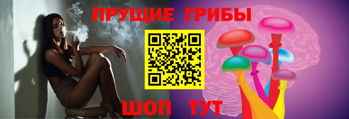 Псилоцибиновые грибы прущие грибы Ленинск-Кузнецкий